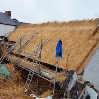 New thatched roof in progress 🛠️🪚